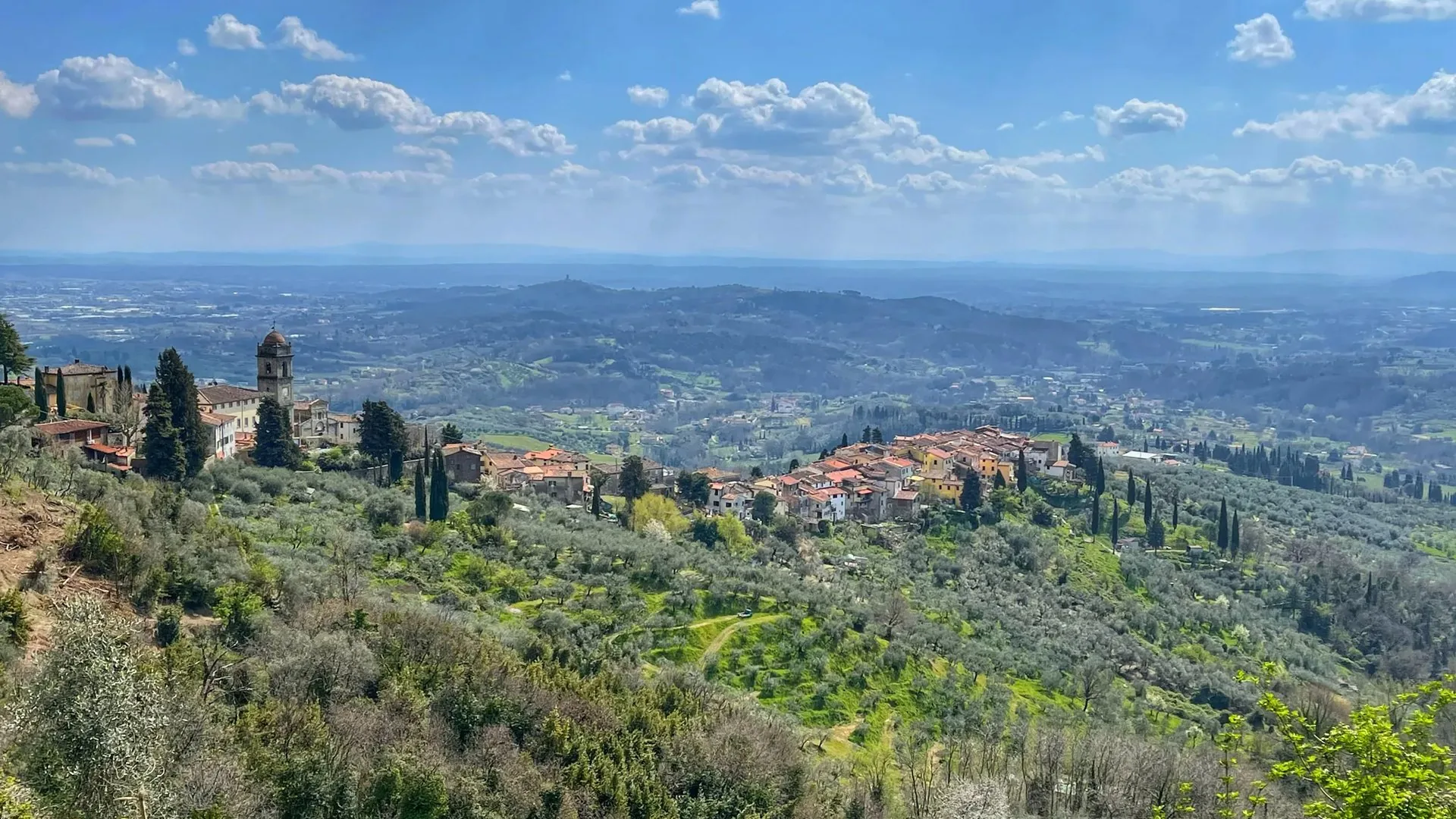 Colline toscane coltivate a ulivi e vigneti