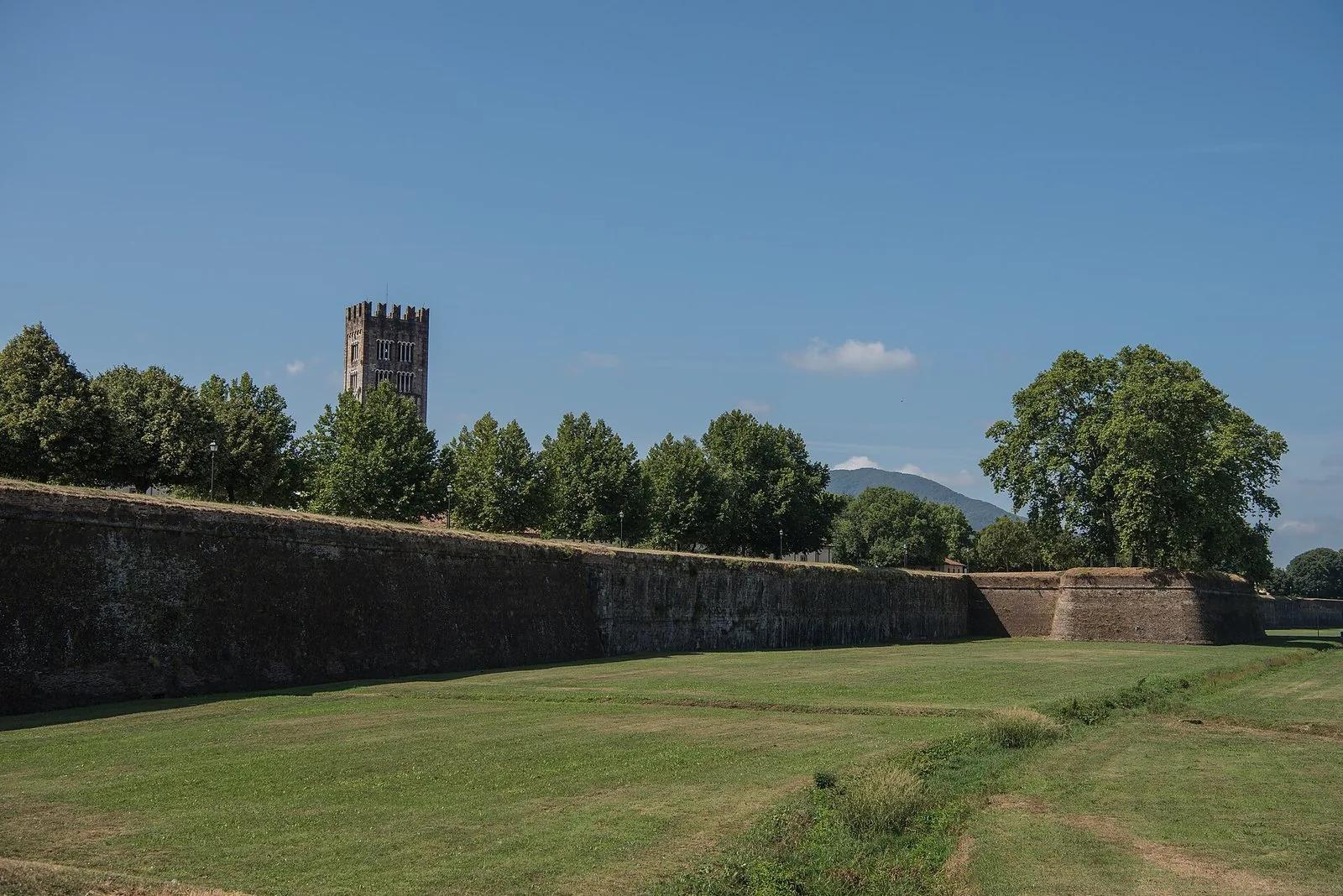 Le Mura rinascimentali di Lucca viste dal prato esterno, con alberi sui bastioni e un campanile sullo sfondo